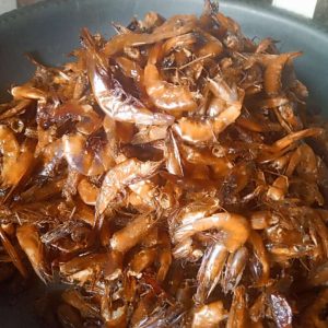 Clean Dried African Giant Big Tasty Crayfish / Prawn / Shrimp / Enitan