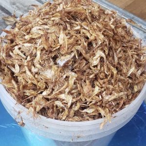 Clean Dried African Crayfish